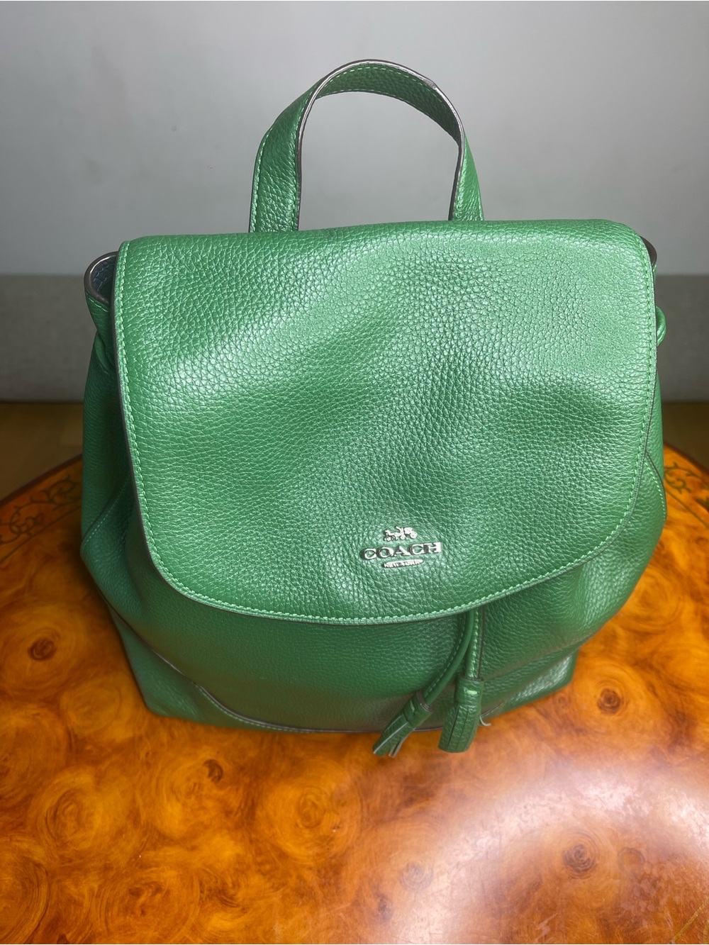 Coach Green Pebbled Leather Drawstring Backpack